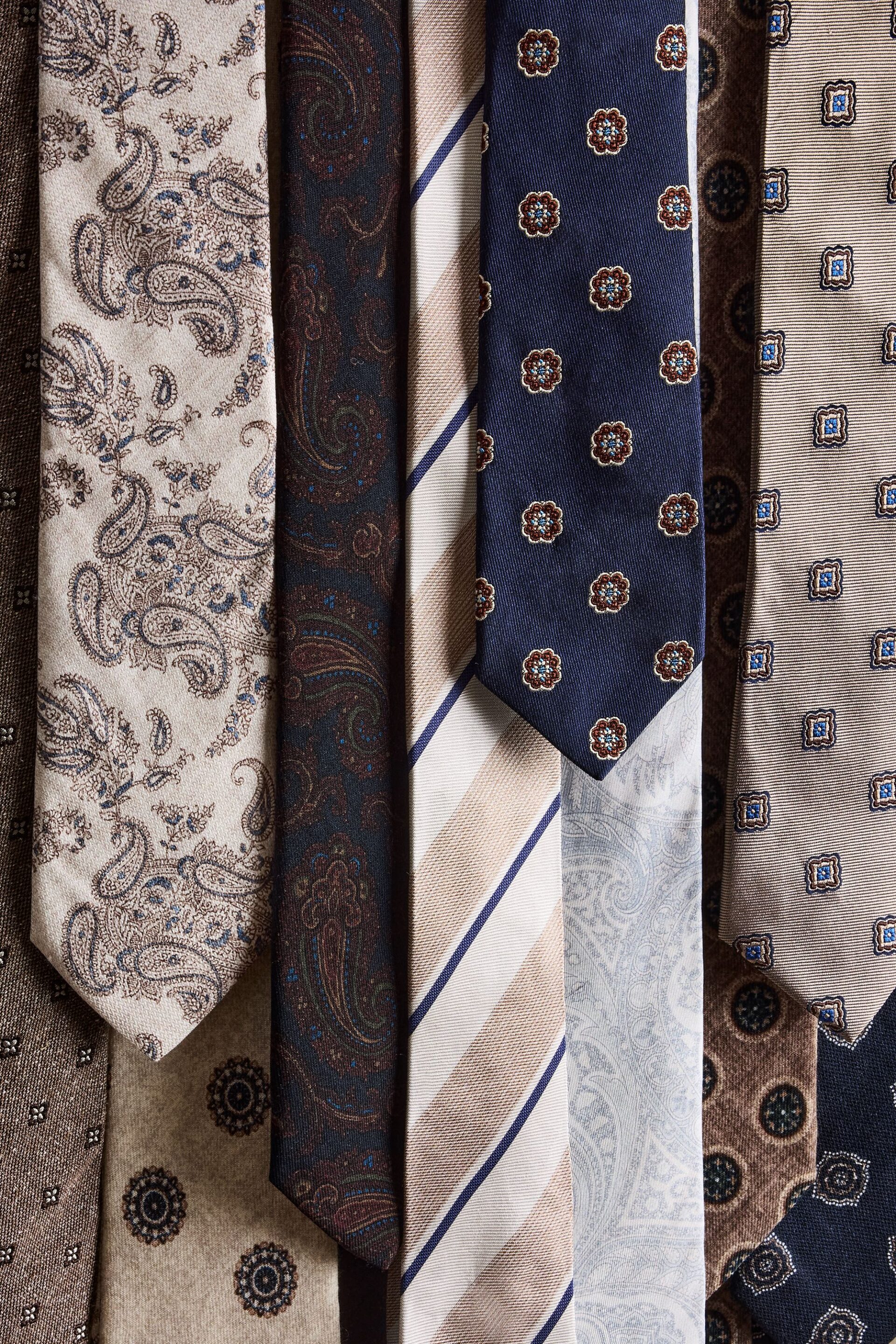 Moss Back to Work Collection - Brilliant Brighton